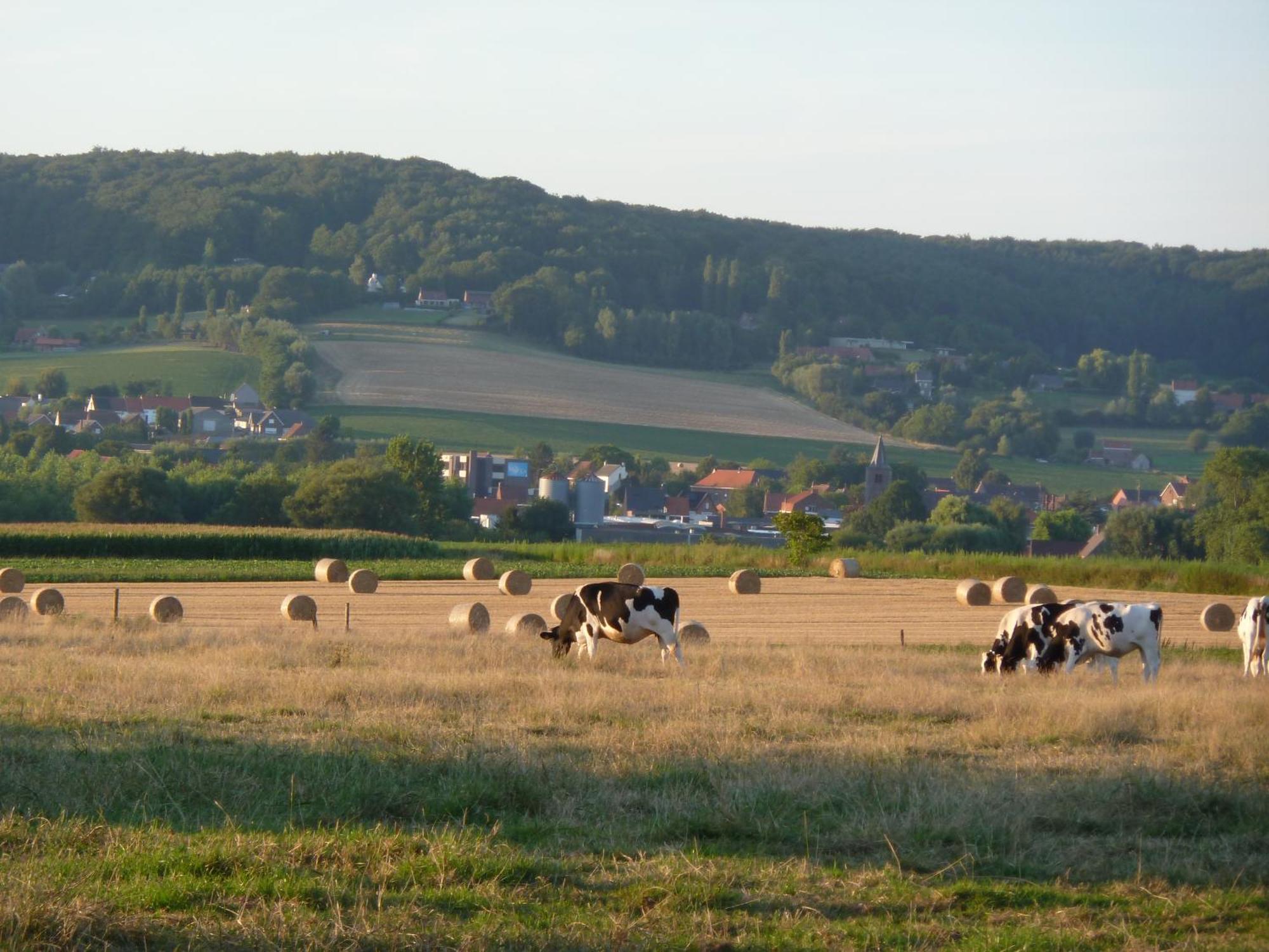 Entre Monts Et Collines B&B Et Spa En Option エクステリア 写真